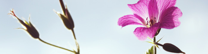 cautiousness_halal_haram