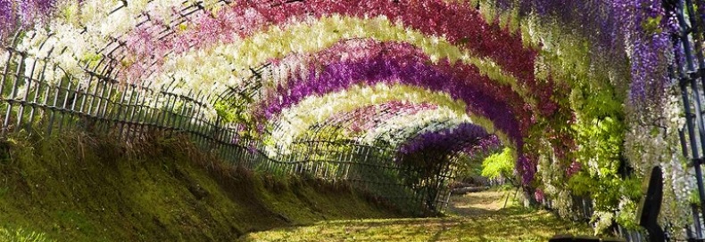 4695cb3b19cbf906e45dac0da0913068_XL